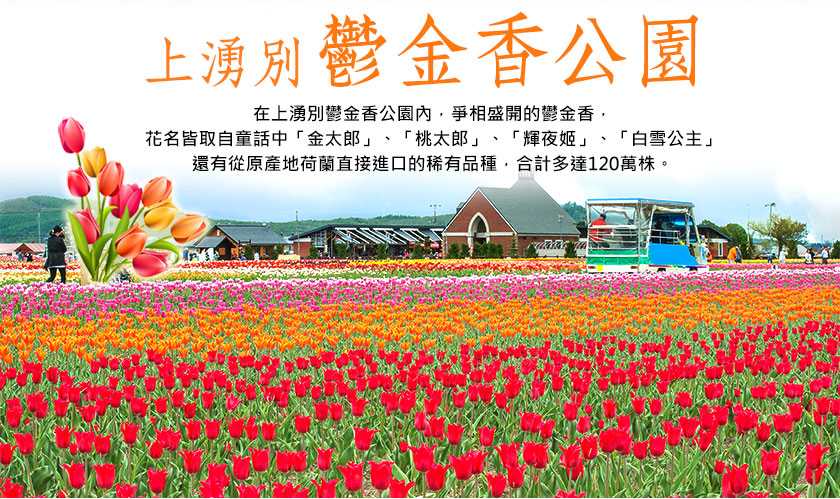 團體旅遊 團型明細頁 團體旅遊 團型明細頁